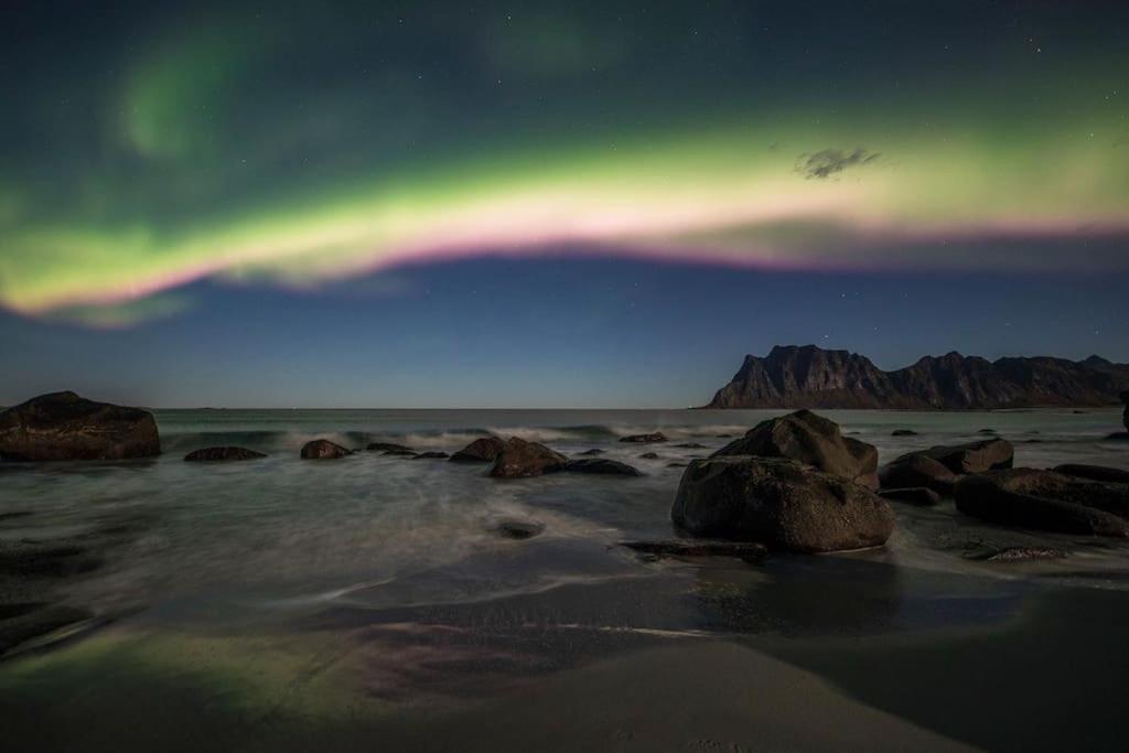 Lofoten - New Apartment, Close To Airport. Leknes Bagian luar foto